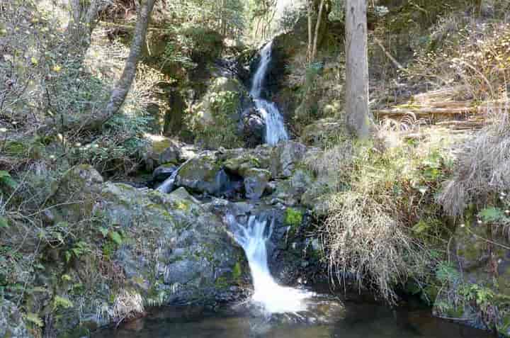 ����͑�E����